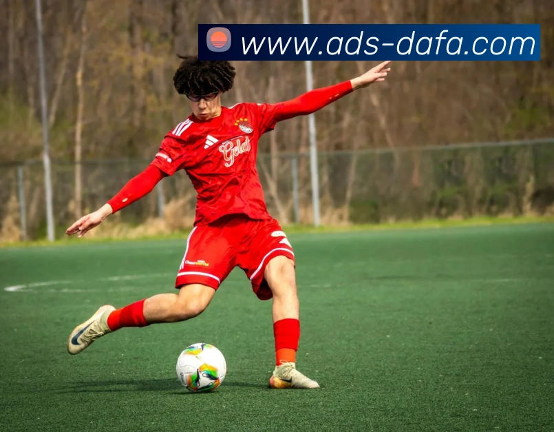 大发彩票平台生态图